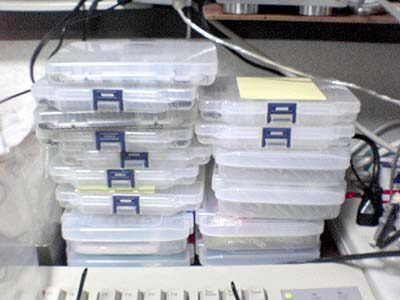 ストックパーツ