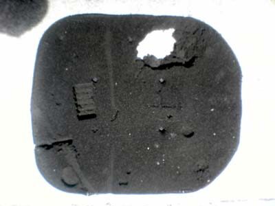 ぼろぼろのエアクリーナーエレメント