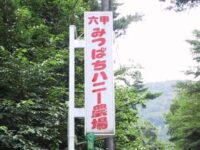 はちみつハニー農場