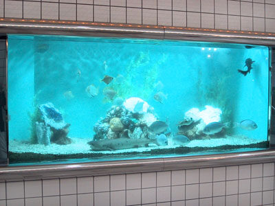 かわいい水族館