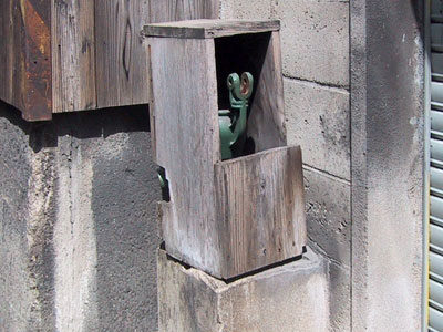 ちらりと見える中身