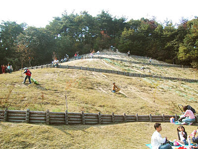 やまびこ広場の斜面