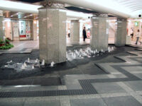 ウォーターパーク