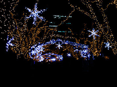 中之島イルミネーションストリート