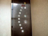 アーチ型に並ぶ