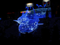 海遊館(ジンベエザメ)