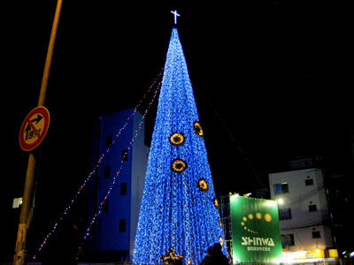 信和ツリー(十三)