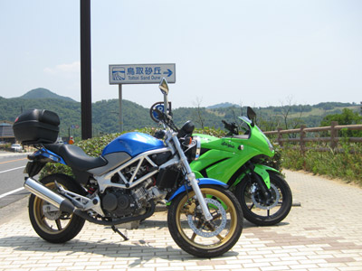 鳥取砂丘入り口横