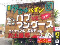 ハブ対マングースショー