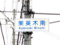 茱萸木(くみのき)南