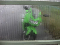 兵庫県養父市関宮付近