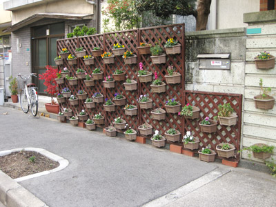 壁が花壇状態