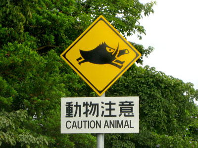 動物注意の注意標識（イノシシ）