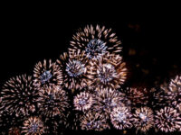 なにわ淀川花火大会