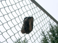 空中アタゴ物件