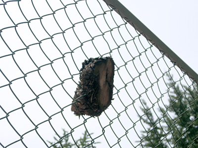 空中アタゴ物件