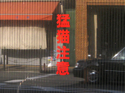 猛猫注意