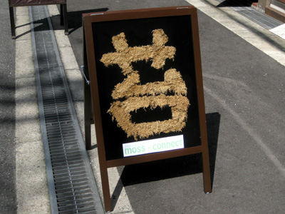 苔インテリアショップ