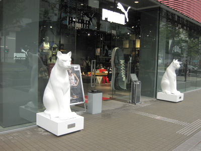 入口のにゃんこ