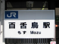 百舌鳥(もず)