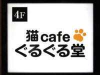 猫cafe ぐるぐる堂