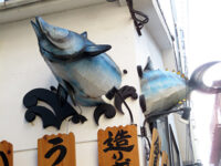 壁を通り抜ける大型魚