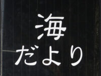 海だより