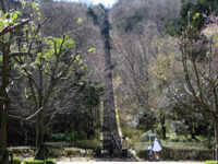 二上山ふるさと公園の展望台への階段