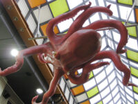 タコのオブジェ