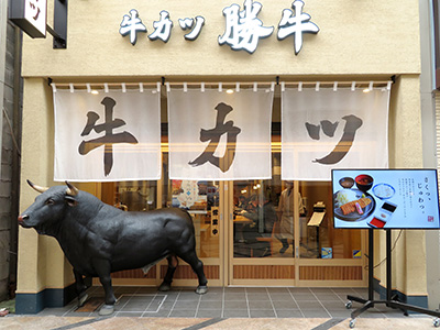 牛がいる